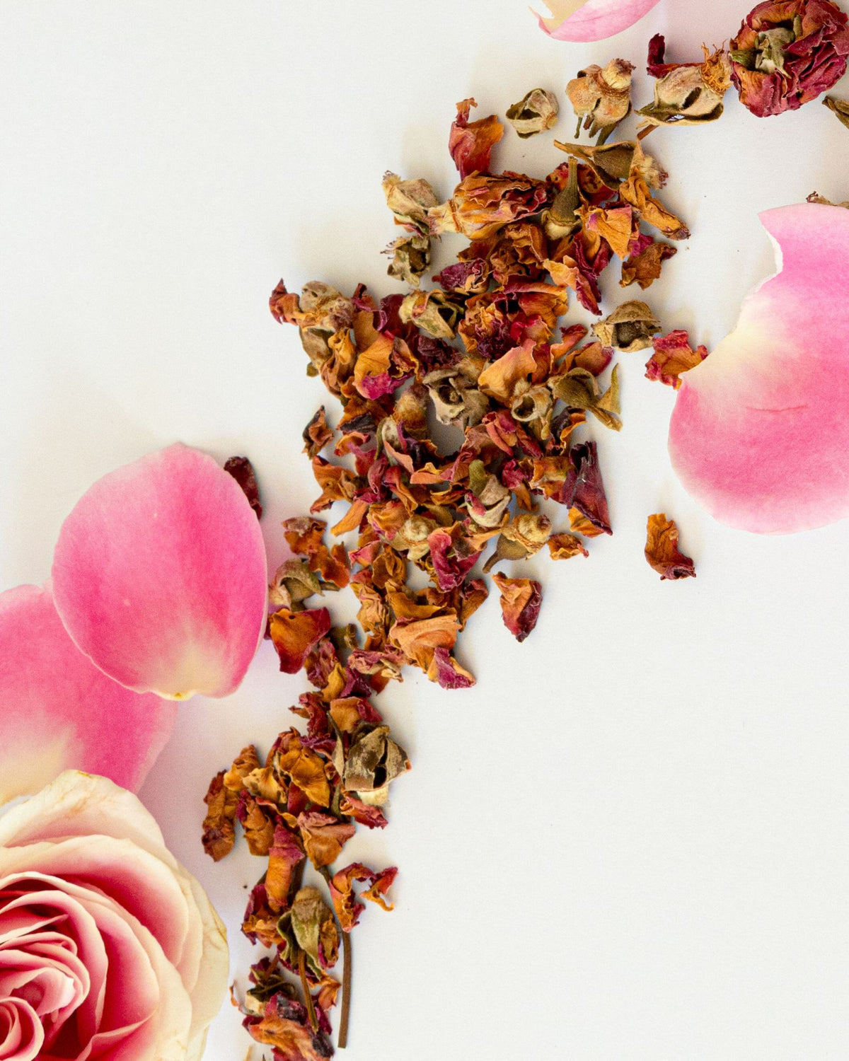 Dried flowers and pink rose petals on a white background